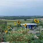 Domaine Des Cadets De Gascogne *