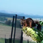 Domaine Des Cadets De Gascogne