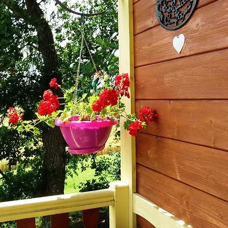 Domaine Des Cadets De Gascogne Pauilhac