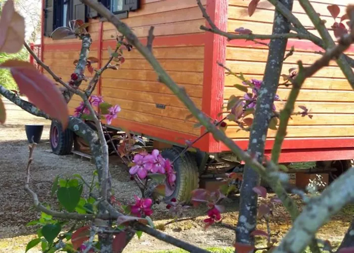 Domaine Des Cadets De Gascogne בית נופש