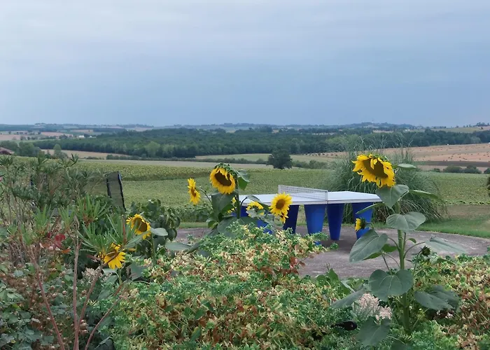 Domaine Des Cadets De Gascogne *